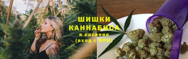 ГАЛЛЮЦИНОГЕННЫЕ ГРИБЫ Балахна