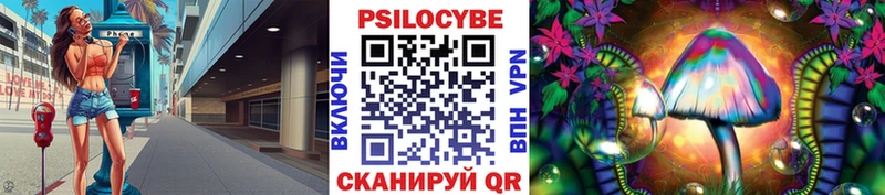 магазин продажи   Цимлянск  Галлюциногенные грибы Magic Shrooms 